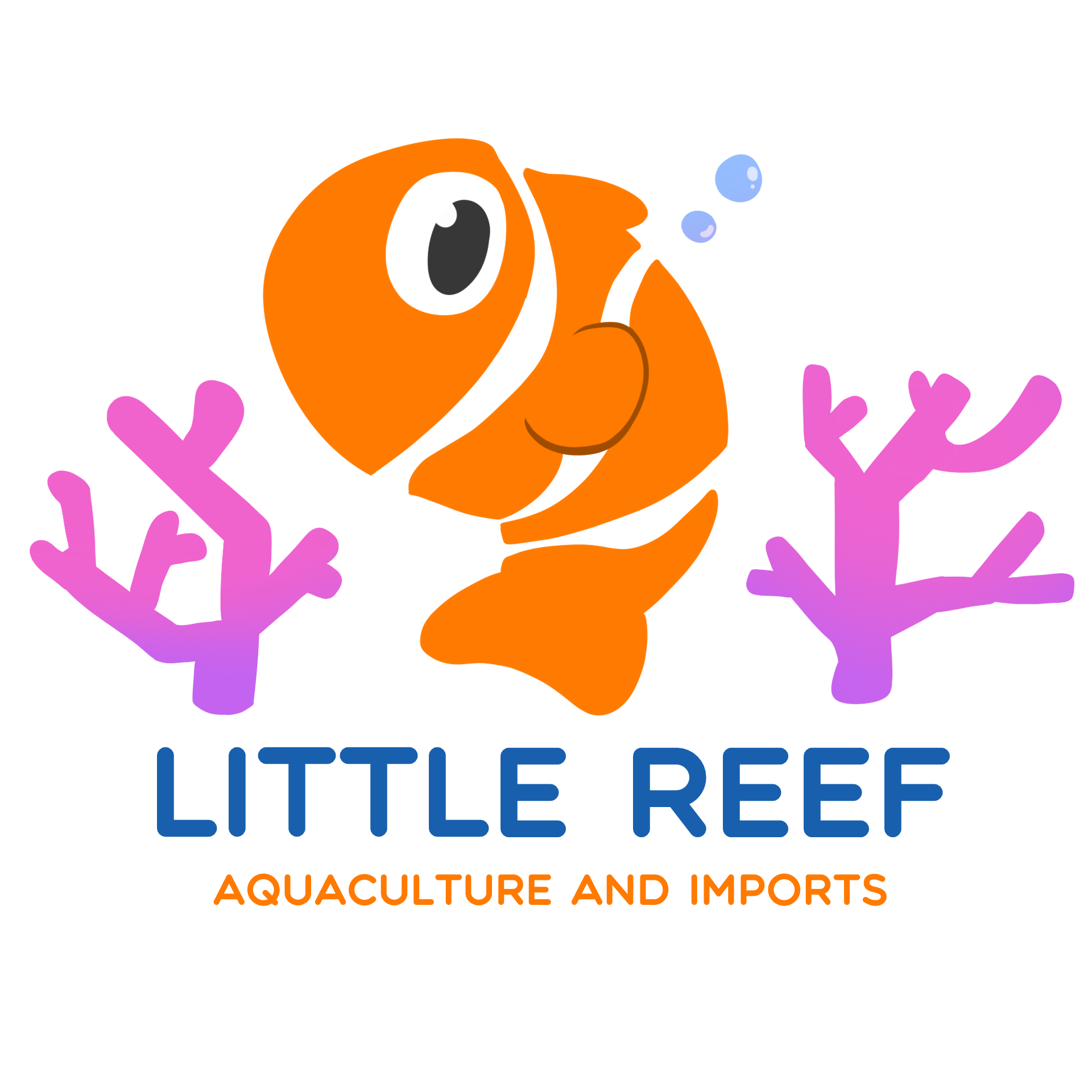 LITTLE REEF AQUATICS